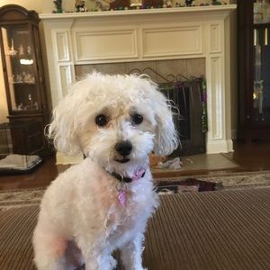 Meet your Posher, Sandy